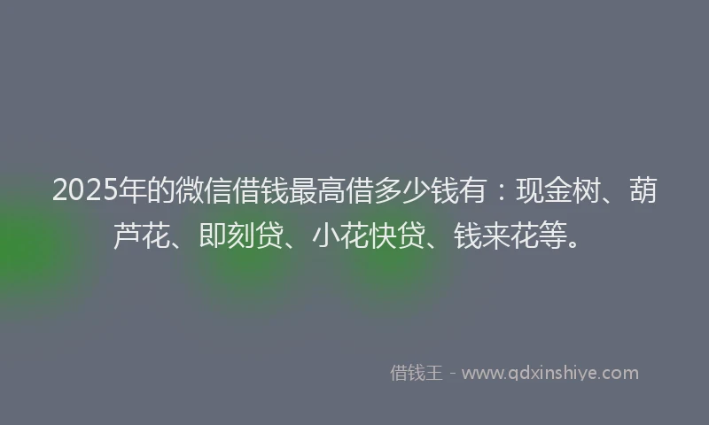 2025年的微信借钱最高借多少钱有：现金树、葫芦花、即刻贷、小花快贷、钱来花等。