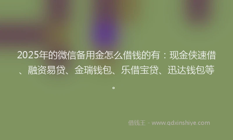 2025年的微信备用金怎么借钱的有：现金侠速借、融资易贷、金瑞钱包、乐借宝贷、迅达钱包等。