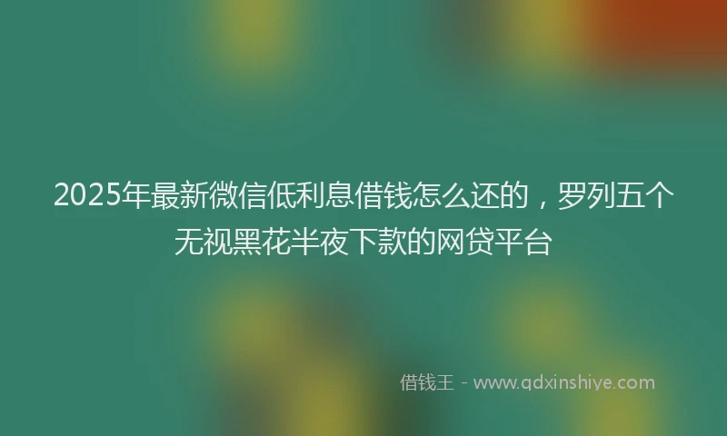 2025年最新微信低利息借钱怎么还的，罗列五个无视黑花半夜下款的网贷平台