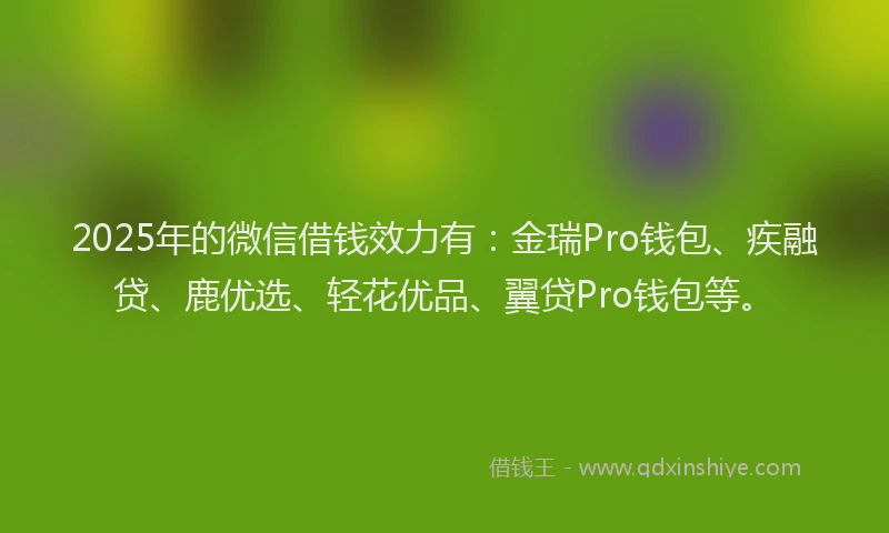 2025年的微信借钱效力有：金瑞Pro钱包、疾融贷、鹿优选、轻花优品、翼贷Pro钱包等。