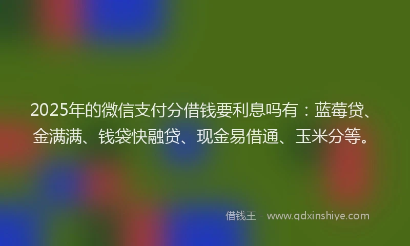 2025年的微信支付分借钱要利息吗有：蓝莓贷、金满满、钱袋快融贷、现金易借通、玉米分等。