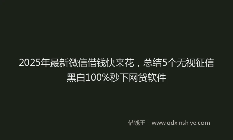 2025年最新微信借钱快来花，总结5个无视征信黑白100%秒下网贷软件