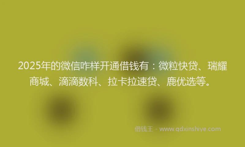 2025年的微信咋样开通借钱有:微粒快贷、瑞耀商城、滴滴数科、拉卡拉速贷、鹿优选等。
