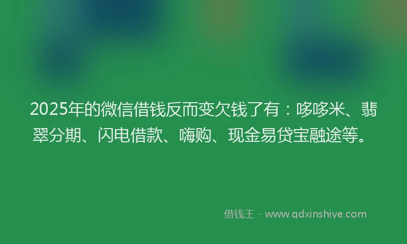 2025年的微信借钱反而变欠钱了有：哆哆米、翡翠分期、闪电借款、嗨购、现金易贷宝融途等。