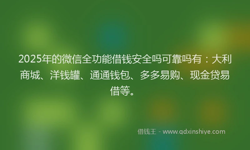2025年的微信全功能借钱安全吗可靠吗有：大利商城、洋钱罐、通通钱包、多多易购、现金贷易借等。
