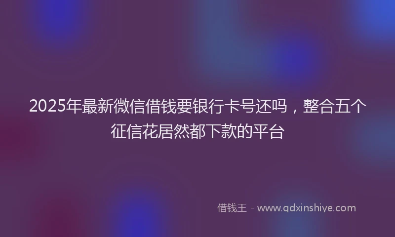 2025年最新微信借钱要银行卡号还吗，整合五个征信花居然都下款的平台