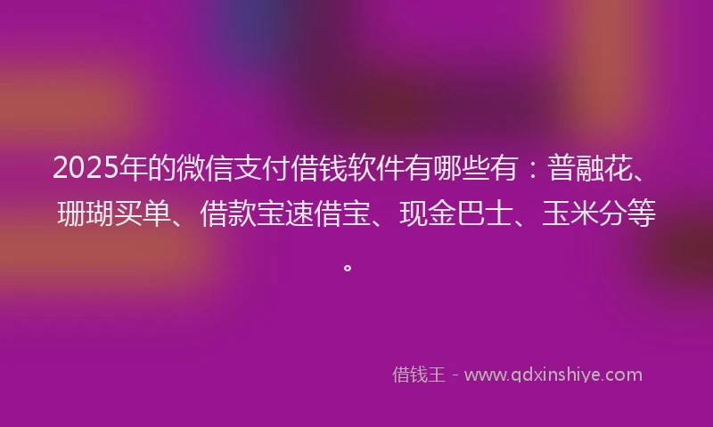 2025年的微信支付借钱软件有哪些有：普融花、珊瑚买单、借款宝速借宝、现金巴士、玉米分等。
