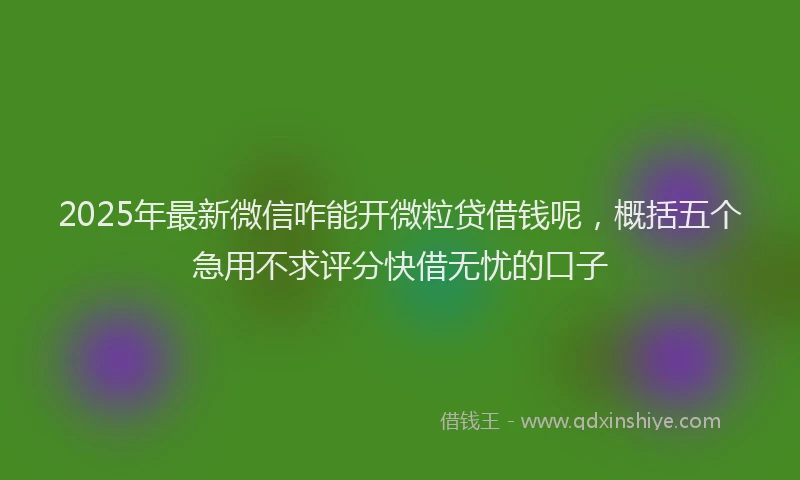 2025年最新微信咋能开微粒贷借钱呢，概括五个急用不求评分快借无忧的口子