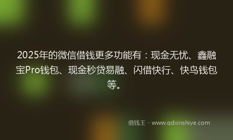 2025年的微信借钱更多功能有：现金无忧、鑫融宝Pro钱包、现金秒贷易融、闪借快行、快鸟钱包等。