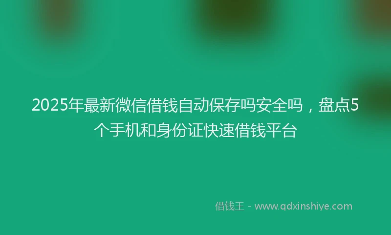 2025年最新微信借钱自动保存吗安全吗，盘点5个手机和身份证快速借钱平台