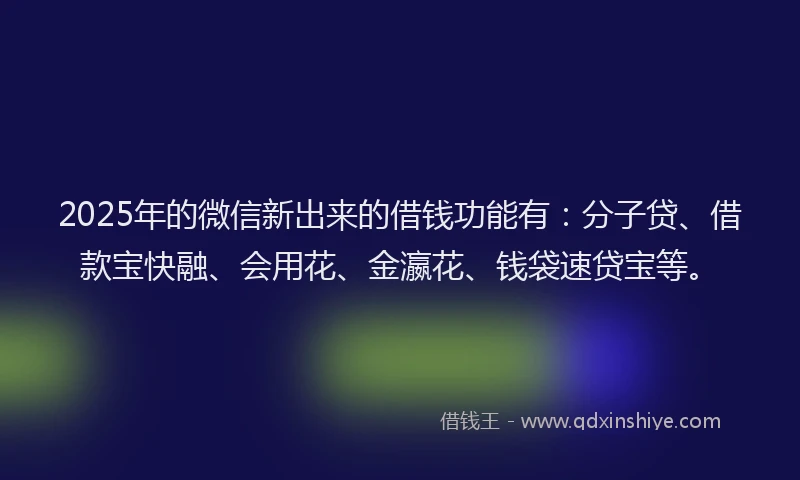 2025年的微信新出来的借钱功能有：分子贷、借款宝快融、会用花、金瀛花、钱袋速贷宝等。