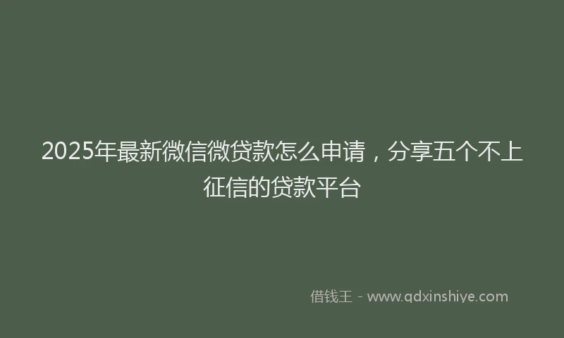 2025年最新微信微贷款怎么申请，分享五个不上征信的贷款平台