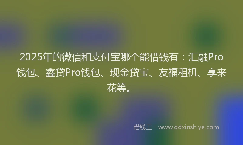 2025年的微信和支付宝哪个能借钱有：汇融Pro钱包、鑫贷Pro钱包、现金贷宝、友福租机、享来花等。