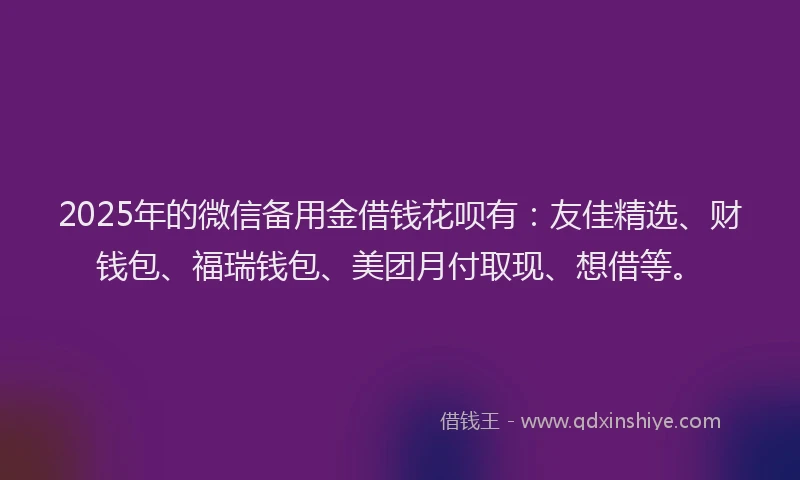 2025年的微信备用金借钱花呗有：友佳精选、财钱包、福瑞钱包、美团月付取现、想借等。