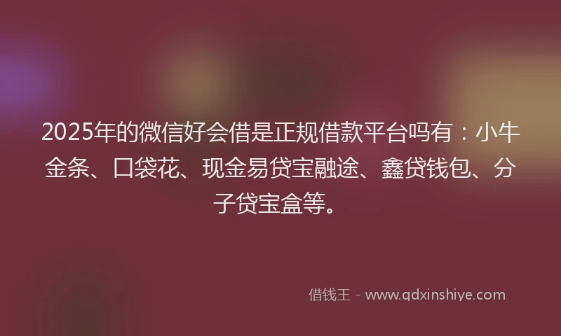 2025年的微信好会借是正规借款平台吗有：小牛金条、口袋花、现金易贷宝融途、鑫贷钱包、分子贷宝盒等。