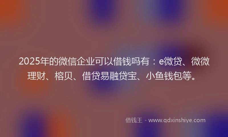 2025年的微信企业可以借钱吗有：e微贷、微微理财、榕贝、借贷易融贷宝、小鱼钱包等。