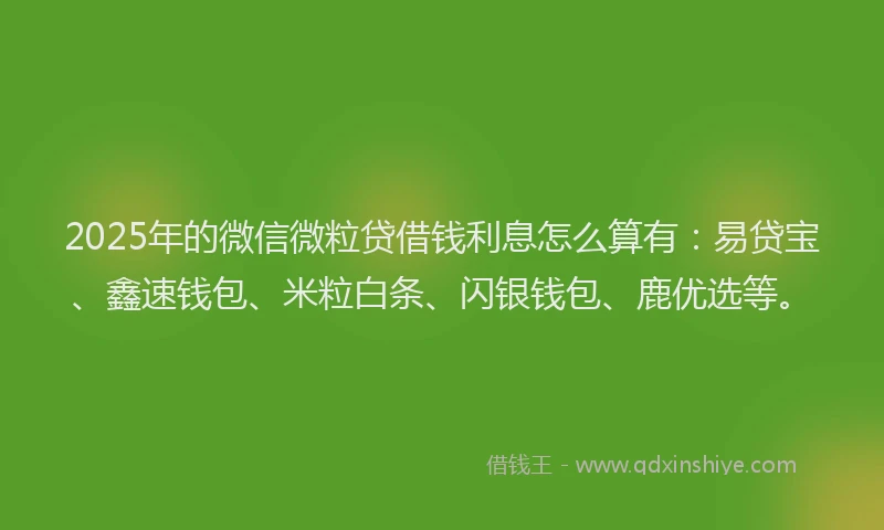 2025年的微信微粒贷借钱利息怎么算有：易贷宝、鑫速钱包、米粒白条、闪银钱包、鹿优选等。