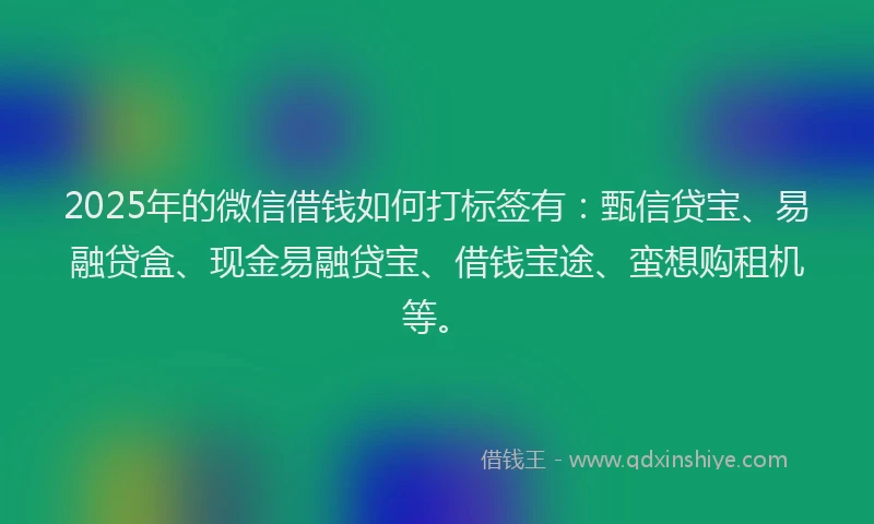 2025年的微信借钱如何打标签有：甄信贷宝、易融贷盒、现金易融贷宝、借钱宝途、蛮想购租机等。