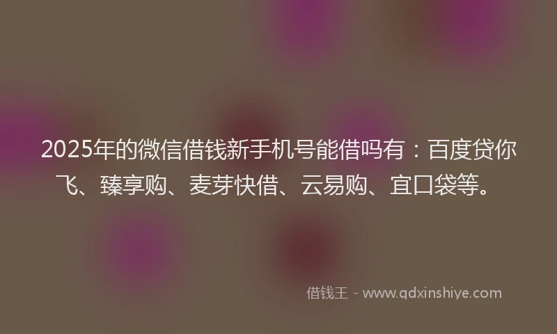 2025年的微信借钱新手机号能借吗有：百度贷你飞、臻享购、麦芽快借、云易购、宜口袋等。