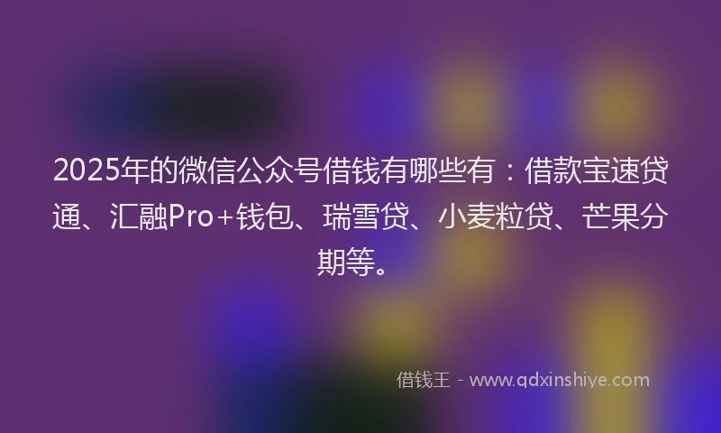 2025年的微信公众号借钱有哪些有：借款宝速贷通、汇融Pro+钱包、瑞雪贷、小麦粒贷、芒果分期等。