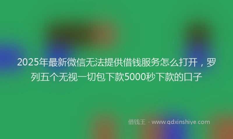 2025年最新微信无法提供借钱服务怎么打开，罗列五个无视一切包下款5000秒下款的口子