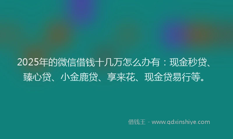 2025年的微信借钱十几万怎么办有：现金秒贷、臻心贷、小金鹿贷、享来花、现金贷易行等。
