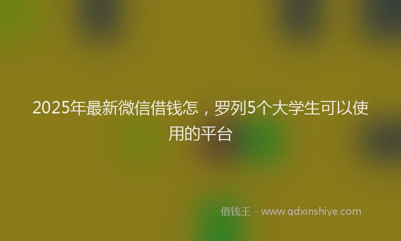 2025年最新微信借钱怎，罗列5个大学生可以使用的平台
