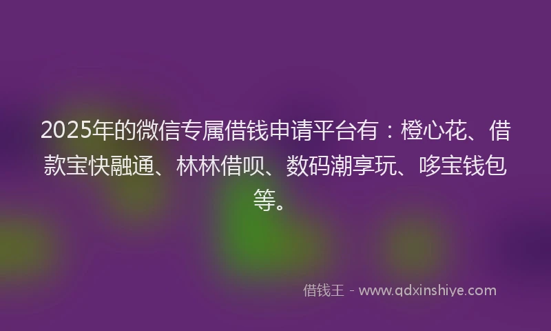 2025年的微信专属借钱申请平台有：橙心花、借款宝快融通、林林借呗、数码潮享玩、哆宝钱包等。