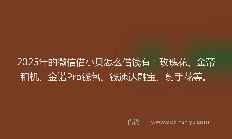 2025年的微信借小贝怎么借钱有：玫瑰花、金帝租机、金诺Pro钱包、钱速达融宝、射手花等。