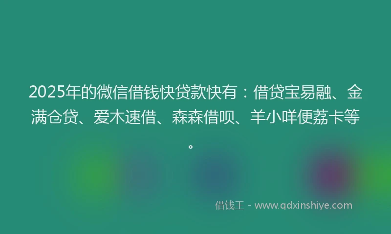 2025年的微信借钱快贷款快有：借贷宝易融、金满仓贷、爱木速借、森森借呗、羊小咩便荔卡等。