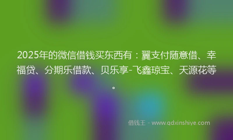 2025年的微信借钱买东西有：翼支付随意借、幸福贷、分期乐借款、贝乐享-飞鑫琼宝、天源花等。