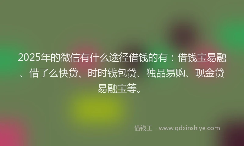 2025年的微信有什么途径借钱的有：借钱宝易融、借了么快贷、时时钱包贷、独品易购、现金贷易融宝等。