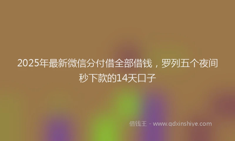 2025年最新微信分付借全部借钱，罗列五个夜间秒下款的14天口子