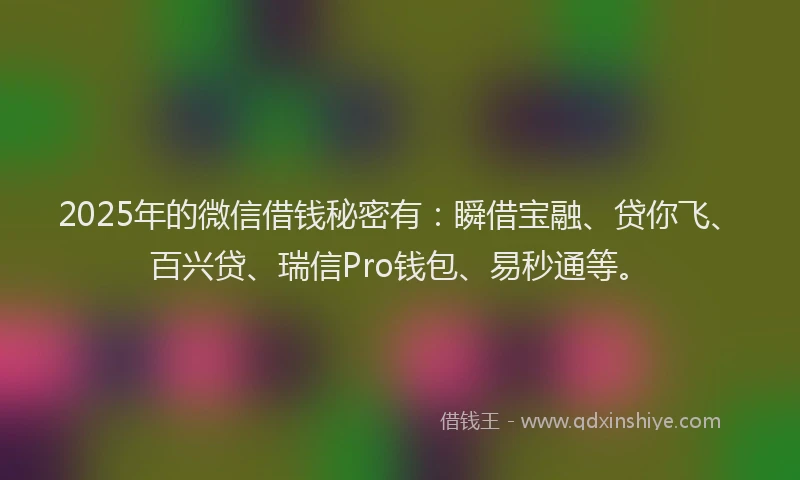 2025年的微信借钱秘密有：瞬借宝融、贷你飞、百兴贷、瑞信Pro钱包、易秒通等。