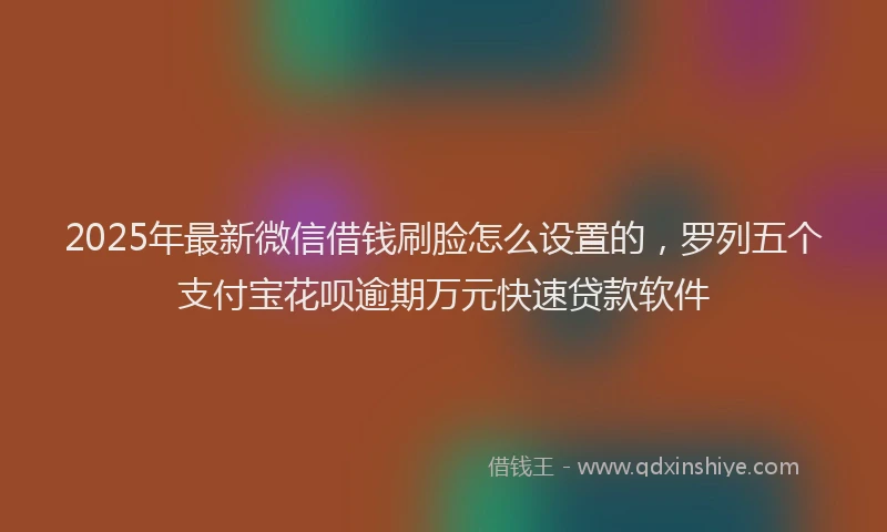 2025年最新微信借钱刷脸怎么设置的，罗列五个支付宝花呗逾期万元快速贷款软件