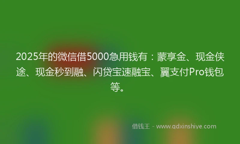 2025年的微信借5000急用钱有：蒙享金、现金侠途、现金秒到融、闪贷宝速融宝、翼支付Pro钱包等。