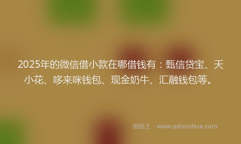 2025年的微信借小款在哪借钱有：甄信贷宝、天小花、哆来咪钱包、现金奶牛、汇融钱包等。