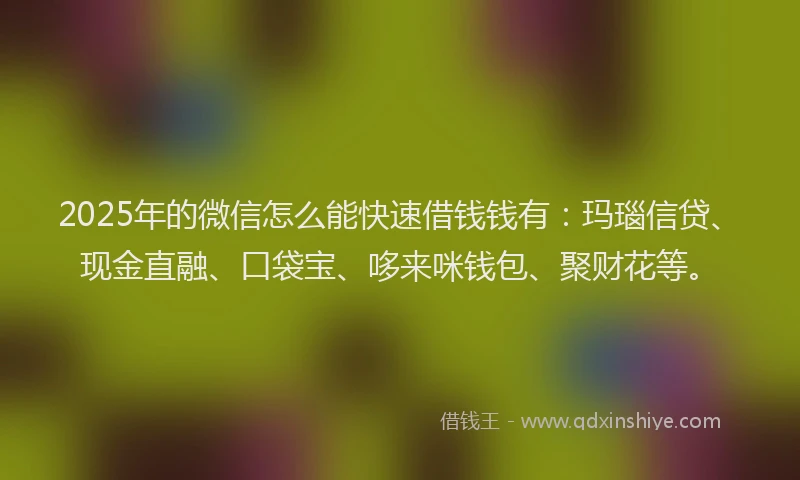2025年的微信怎么能快速借钱钱有：玛瑙信贷、现金直融、口袋宝、哆来咪钱包、聚财花等。