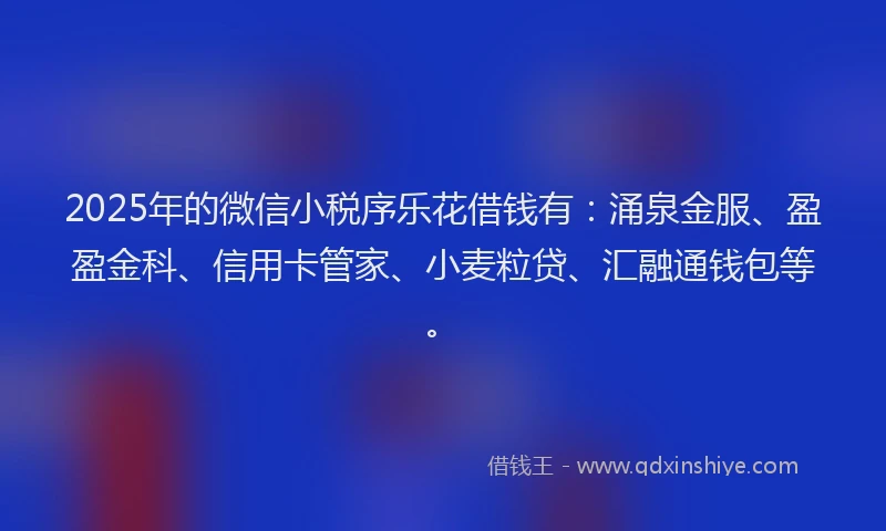 2025年的微信小税序乐花借钱有：涌泉金服、盈盈金科、信用卡管家、小麦粒贷、汇融通钱包等。