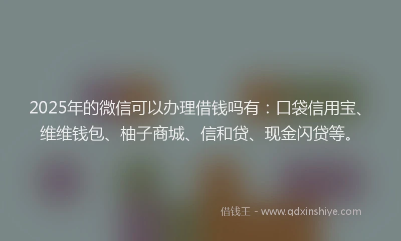 2025年的微信可以办理借钱吗有：口袋信用宝、维维钱包、柚子商城、信和贷、现金闪贷等。