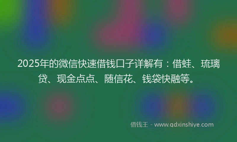 2025年的微信快速借钱口子详解有：借蛙、琉璃贷、现金点点、随信花、钱袋快融等。