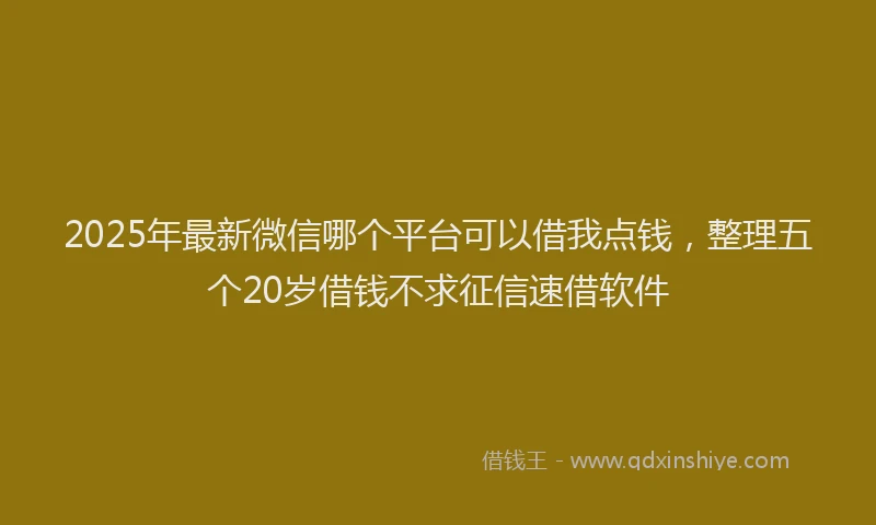 2025年最新微信哪个平台可以借我点钱，整理五个20岁借钱不求征信速借软件