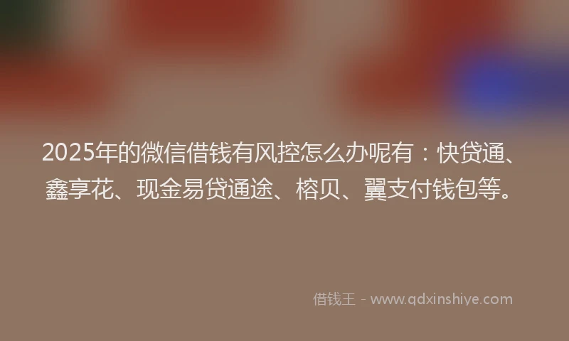 2025年的微信借钱有风控怎么办呢有：快贷通、鑫享花、现金易贷通途、榕贝、翼支付钱包等。