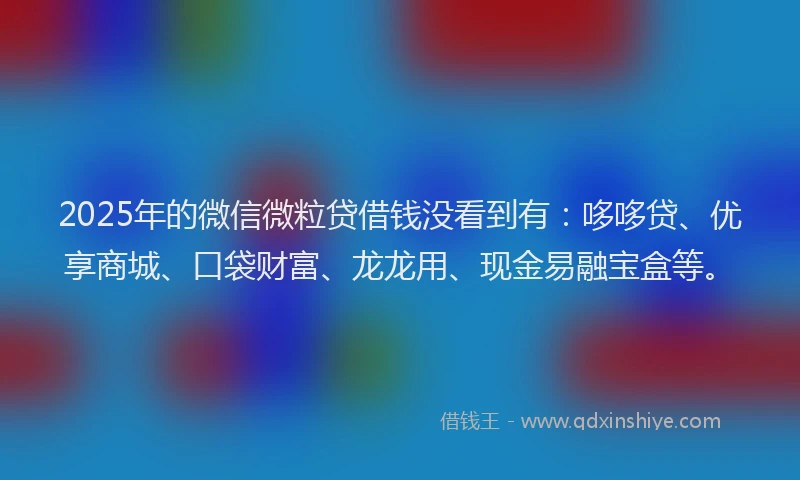 2025年的微信微粒贷借钱没看到有：哆哆贷、优享商城、口袋财富、龙龙用、现金易融宝盒等。