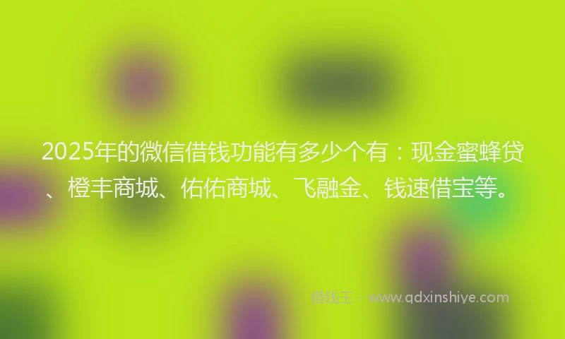 2025年的微信借钱功能有多少个有：现金蜜蜂贷、橙丰商城、佑佑商城、飞融金、钱速借宝等。