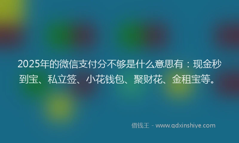 2025年的微信支付分不够是什么意思有:现金秒到宝、私立签、小花钱包、聚财花、金租宝等。