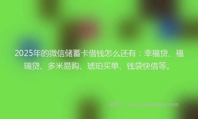 2025年的微信储蓄卡借钱怎么还有：幸福贷、福瑞贷、多米易购、琥珀买单、钱袋快借等。