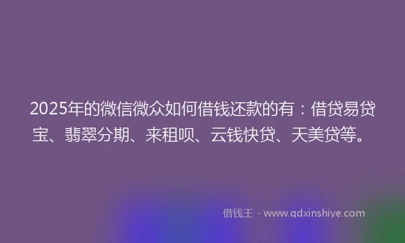 2025年的微信微众如何借钱还款的有：借贷易贷宝、翡翠分期、来租呗、云钱快贷、天美贷等。