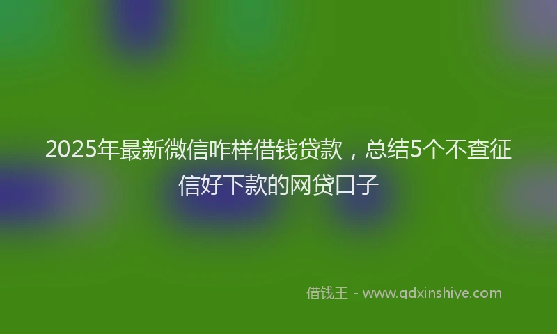 2025年最新微信咋样借钱贷款，总结5个不查征信好下款的网贷口子
