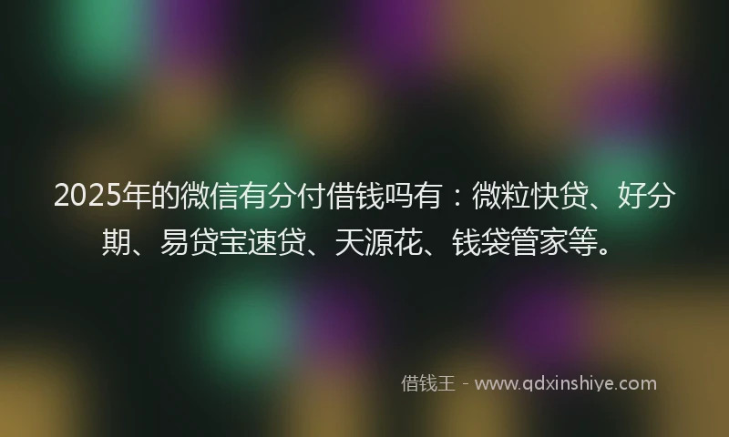 2025年的微信有分付借钱吗有：微粒快贷、好分期、易贷宝速贷、天源花、钱袋管家等。